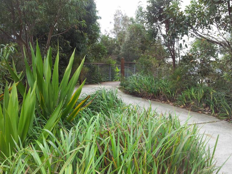 Shearwater Estate Subdivision Development - Exciting Sydney Playgrounds Design - Pleasantview Industries