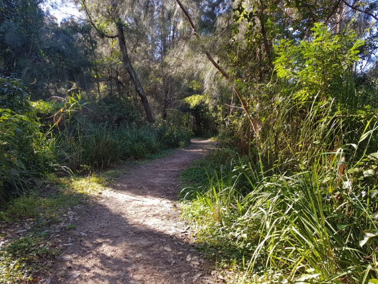 Narrabeen Creek Restoration Exciting Sydney Playgrounds Design - Pleasantview Industries