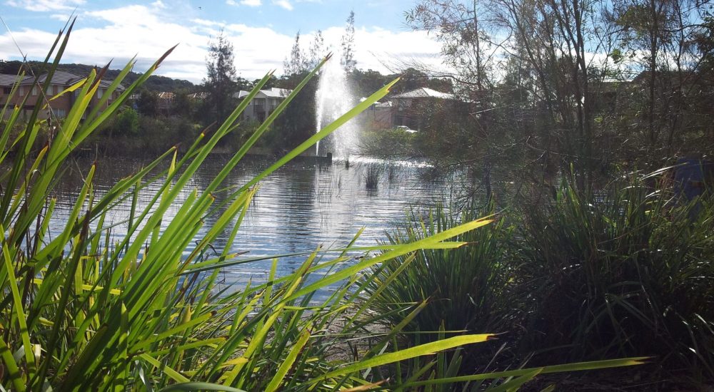 Environmental Services - Pleasantview Industries